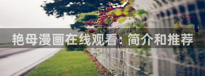 香蕉漫画在线看：艳母漫画在线观看: 简介和推荐