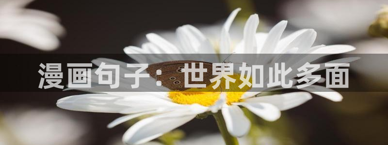 香蕉漫画入：漫画句子：世界如此多面