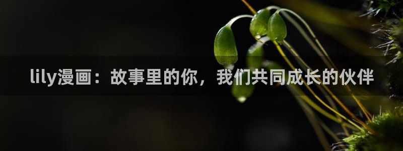 嗟嗟香蕉漫画在线：lily漫画：故事里的你，我们共同成长的伙伴